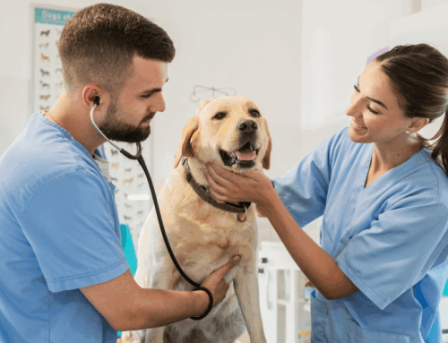 Cherokee Revolution: La revolución en uniformes para veterinarios