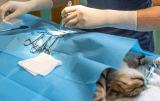 hipotermia-intraoperatoria
