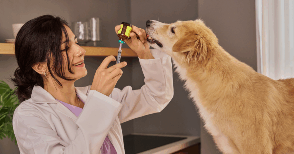 Etiquetaje-jeringuillas-para-gestion-medicamentos-veterinaria